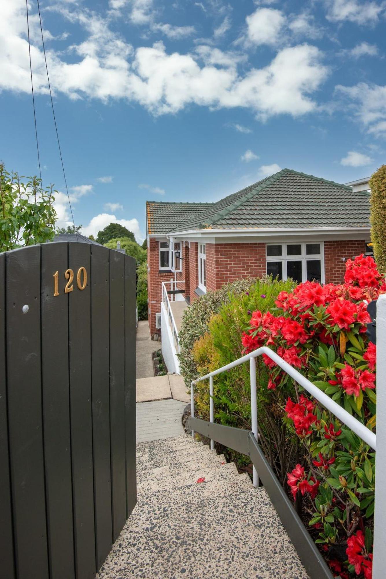 Charming Roslyn Home Ντούνεντιν Εξωτερικό φωτογραφία